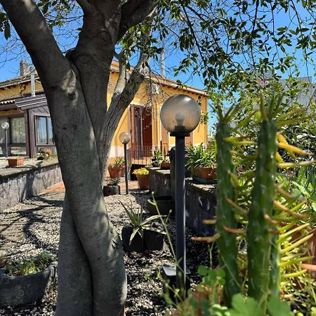 Bed and Breakfast Zest House Santa Venerina Esterno foto