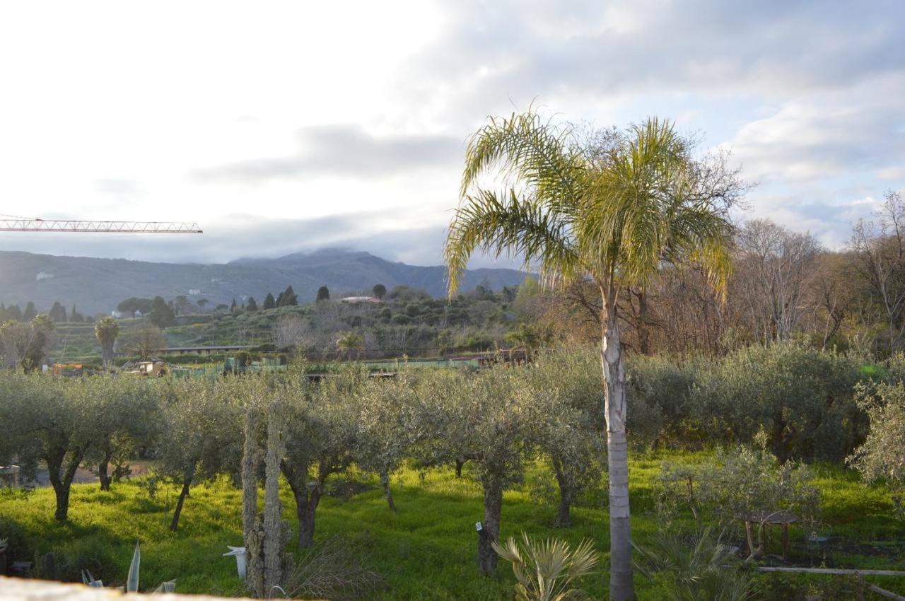 Bed and Breakfast Zest House Santa Venerina Esterno foto
