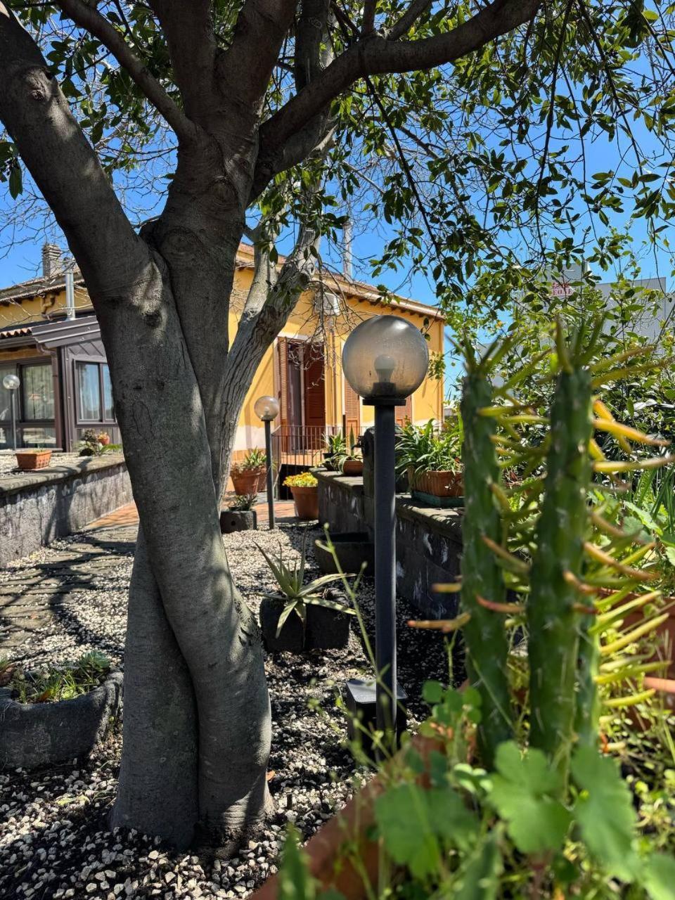Bed and Breakfast Zest House Santa Venerina Esterno foto