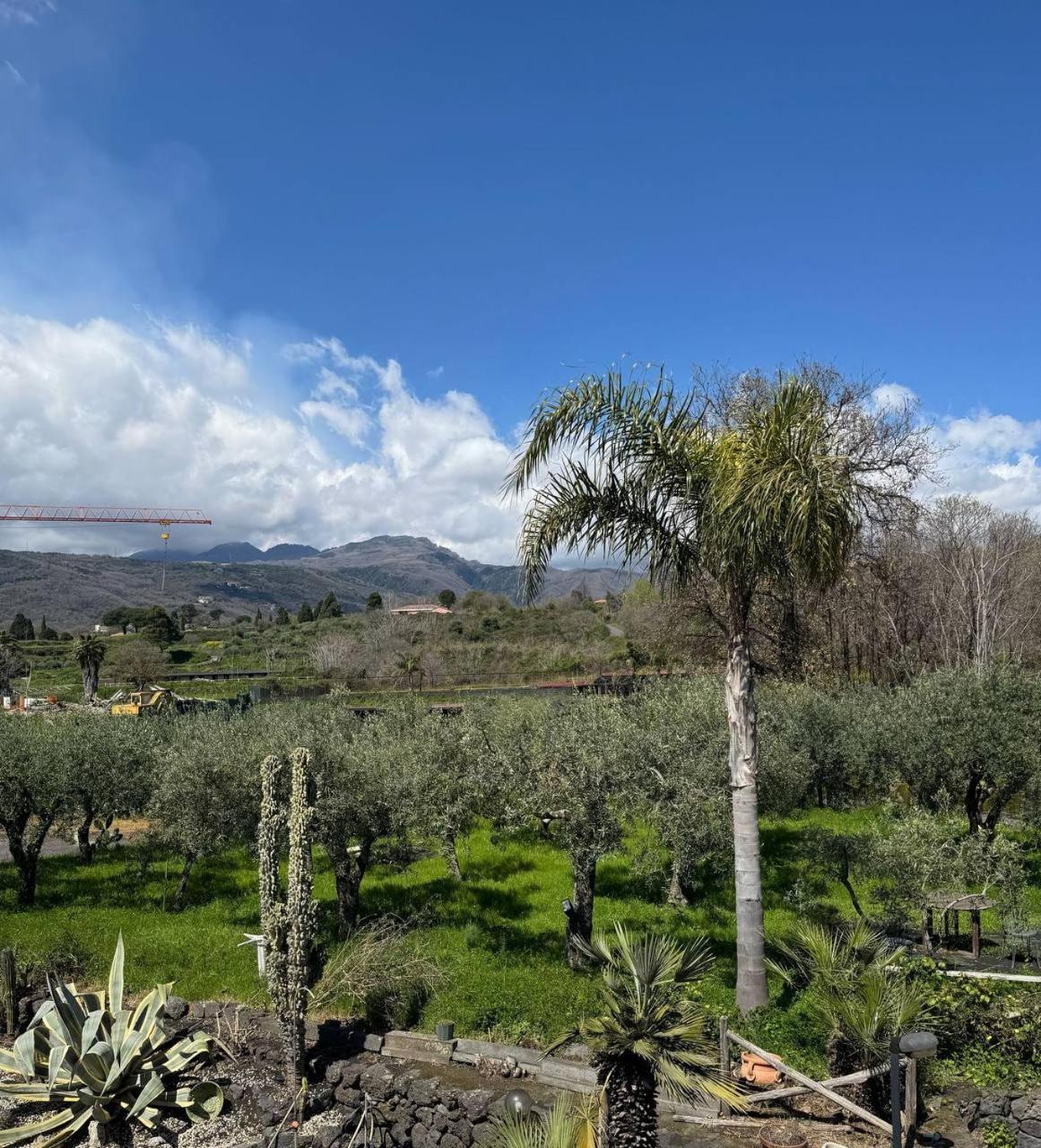 Bed and Breakfast Zest House Santa Venerina Esterno foto
